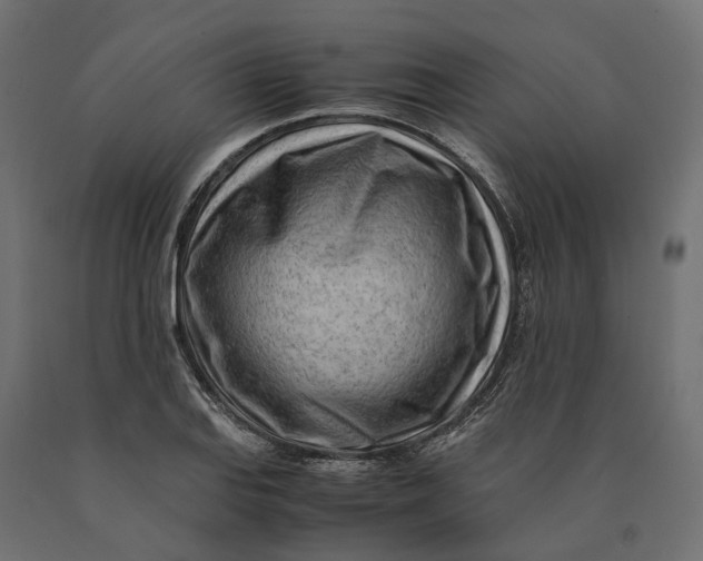 X0000090431127200708031123