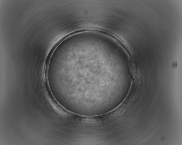 X0000090431128200708031123