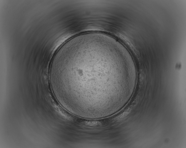 X0000090431129200708031123