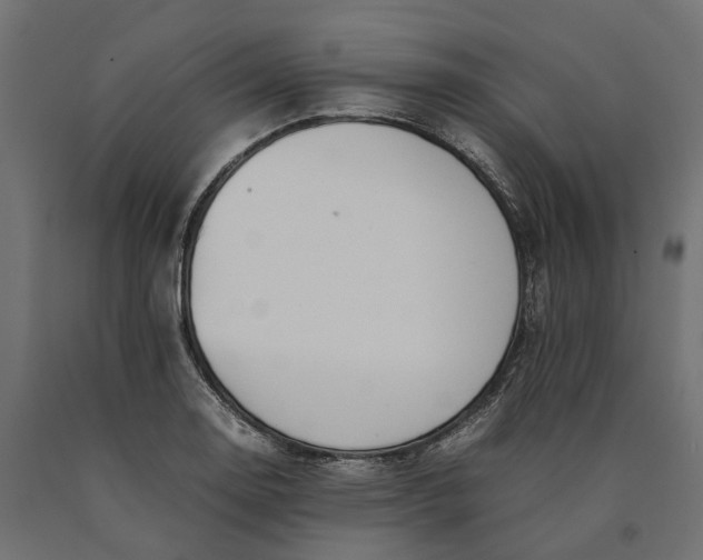 X0000090431130200708031123