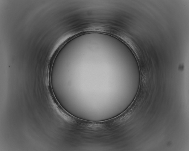 X0000090431131200708031123