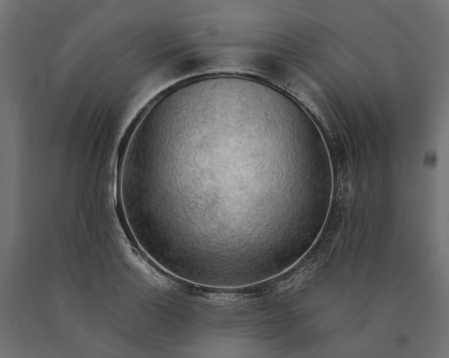 X0000090431132200708031123