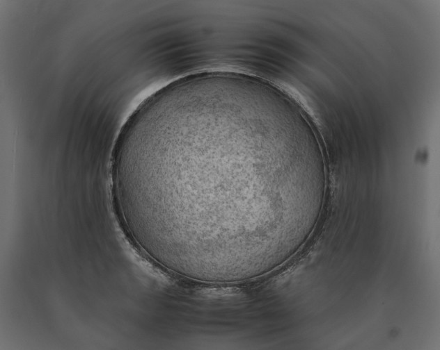 X0000090431133200708031123