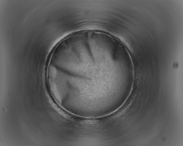 X0000090431134200708031123