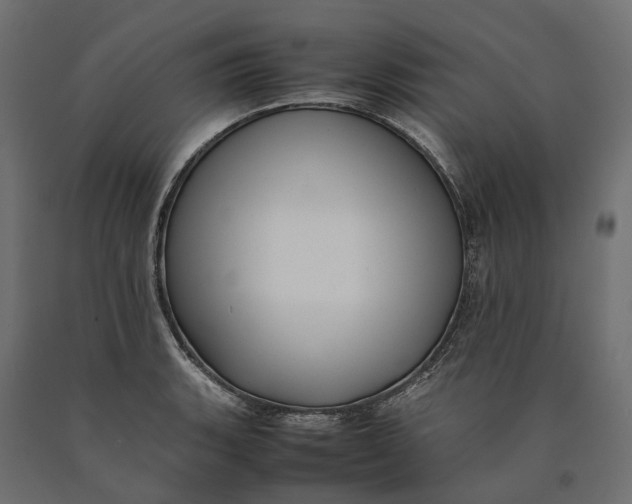 X0000090431135200708031123