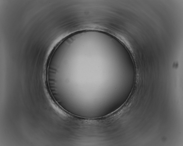 X0000090431136200708031123