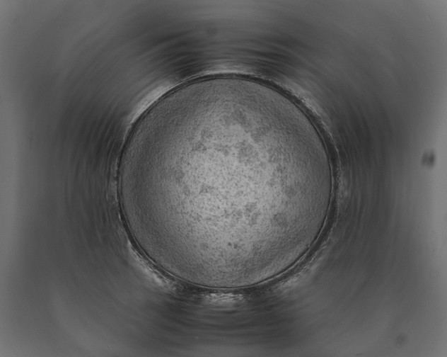 X0000090431137200708031123