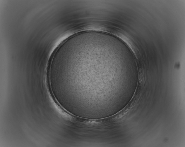 X0000090431139200708031123