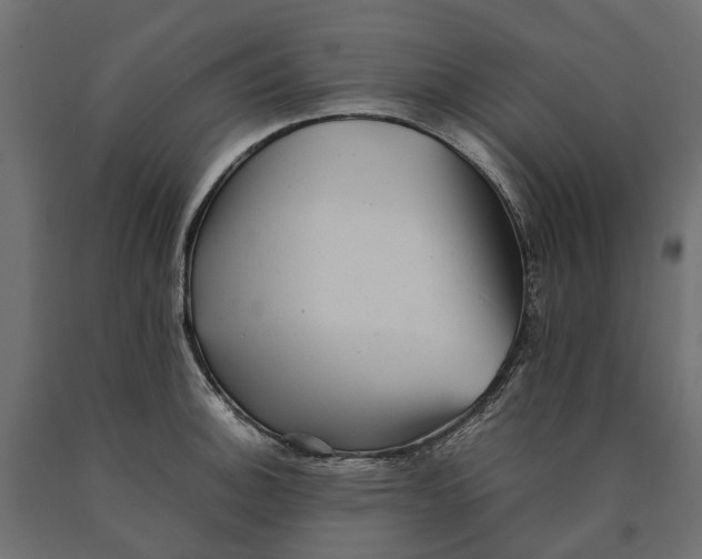 X0000090431140200708031123