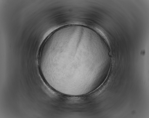 X0000090431141200708031123