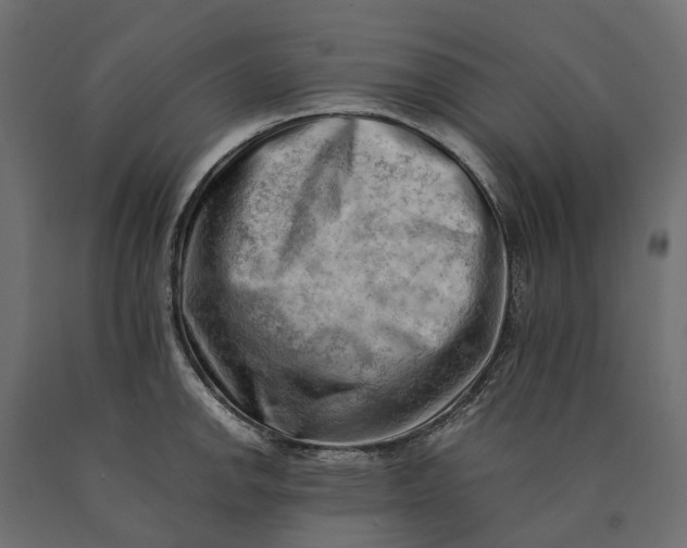 X0000090431142200708031123