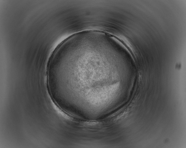 X0000090431143200708031123