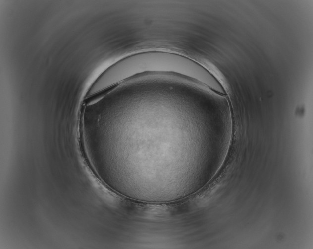 X0000090431144200708031123