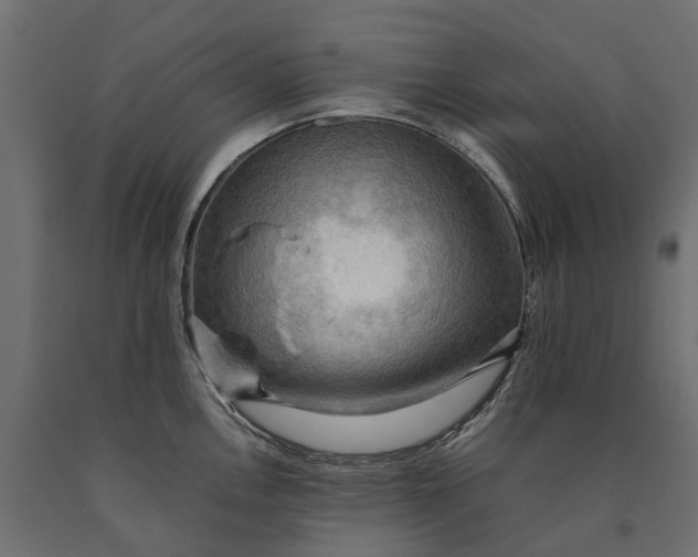 X0000090431146200708031123