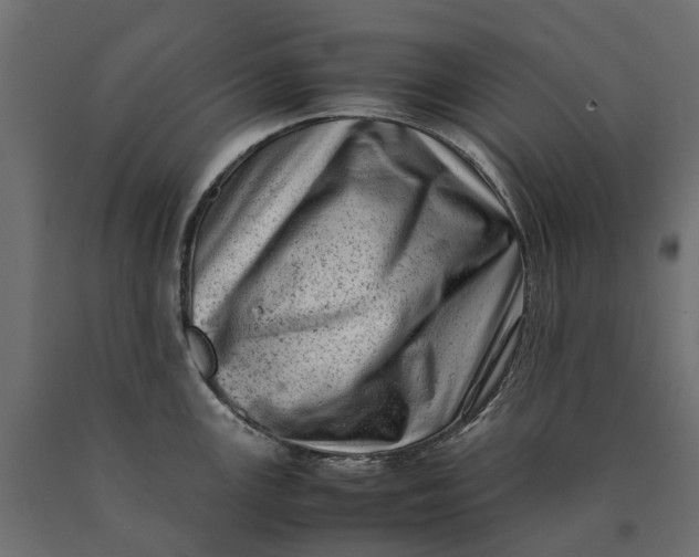 X0000090431147200708031123