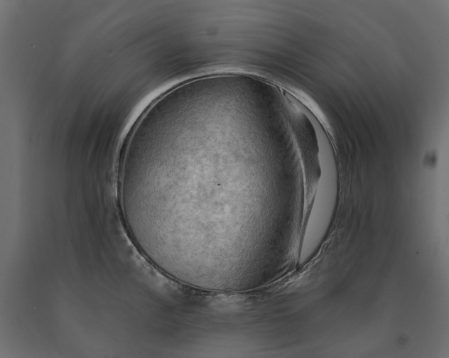 X0000090431148200708031123