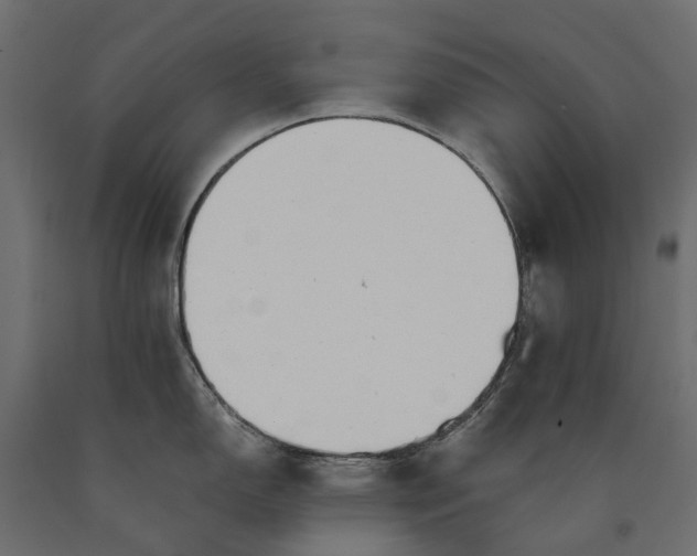 X0000090431150200708031123