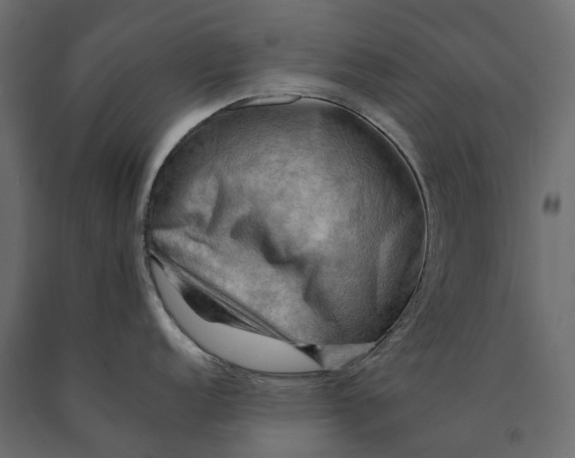 X0000090431152200708031123