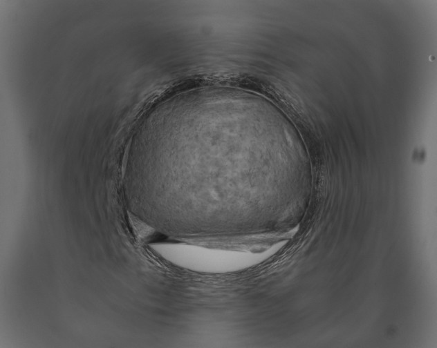 X0000090431153200708031122