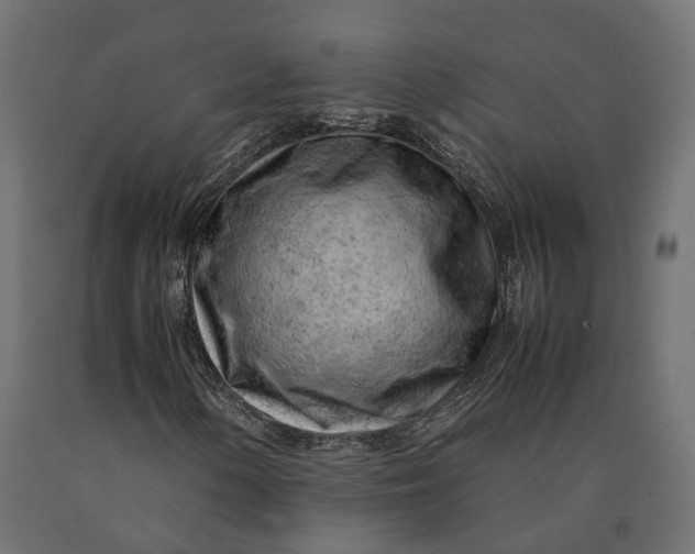 X0000090431154200708031122