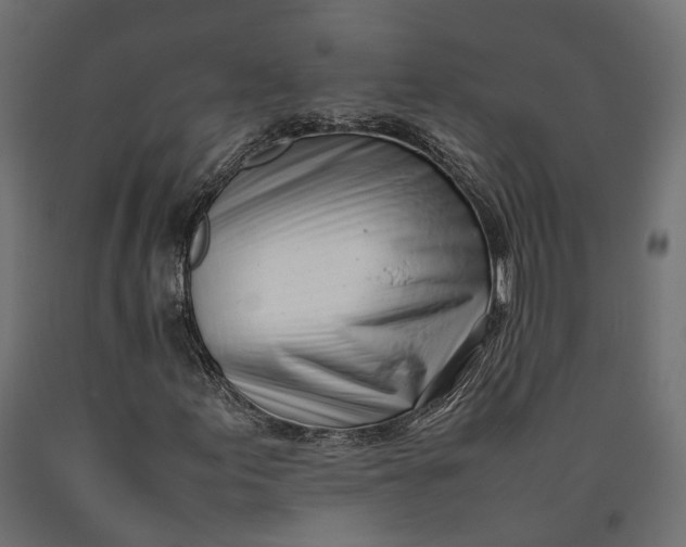 X0000090431155200708031122