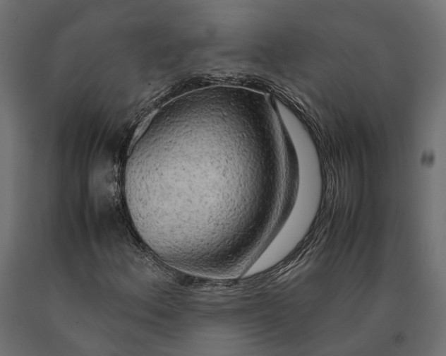 X0000090431156200708031122