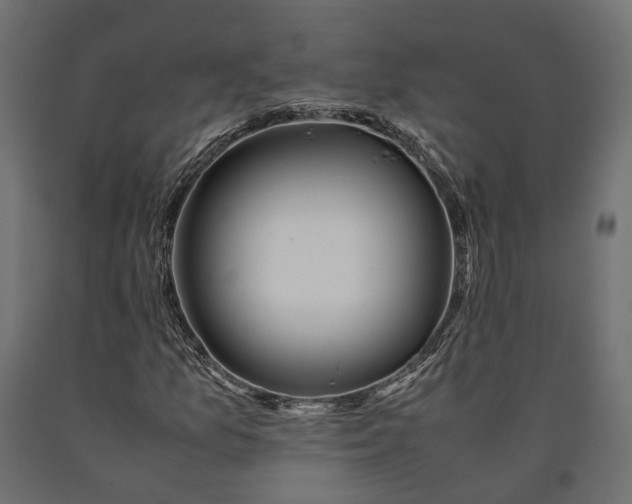 X0000090431157200708031122