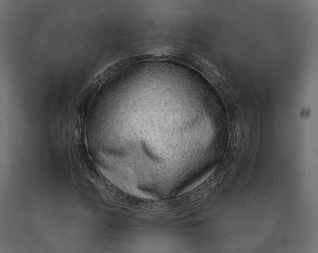 X0000090431158200708031122