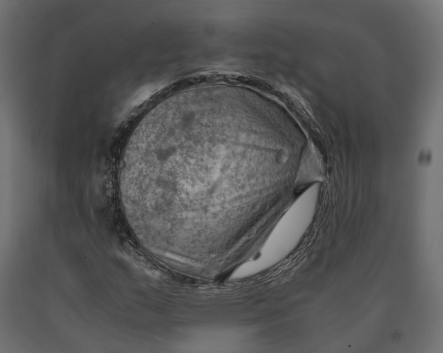 X0000090431159200708031122