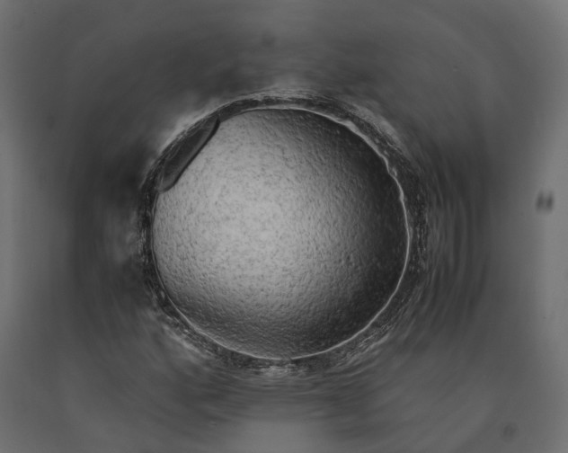 X0000090431160200708031122