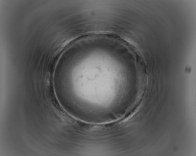 X0000090431161200708031122