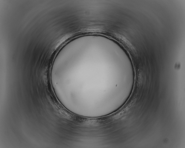 X0000090431162200708031122