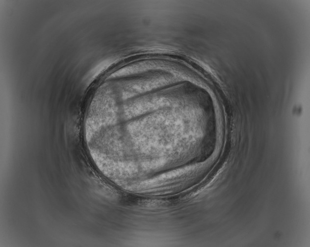 X0000090431163200708031122