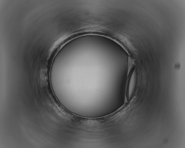 X0000090431164200708031122