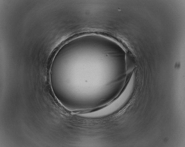 X0000090431165200708031122