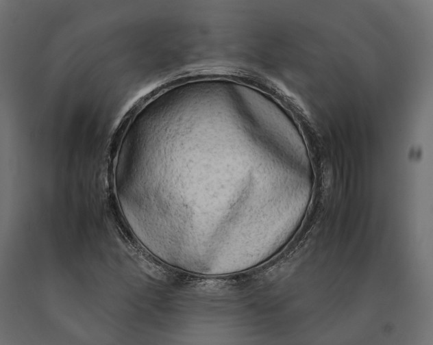 X0000090431166200708031122