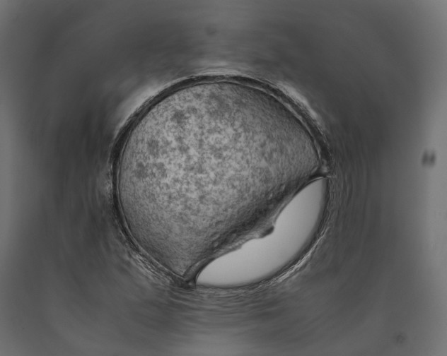 X0000090431167200708031122