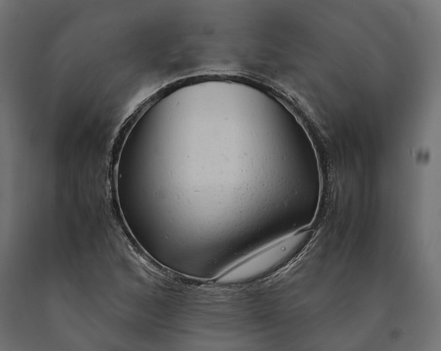 X0000090431168200708031122