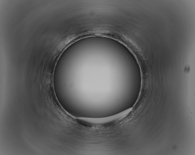 X0000090431169200708031122