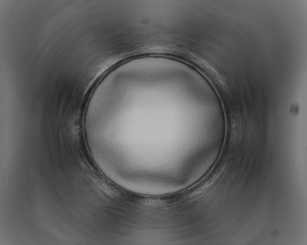 X0000090431170200708031122