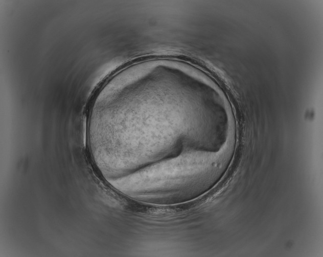 X0000090431171200708031122