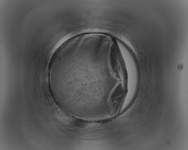 X0000090431173200708031122