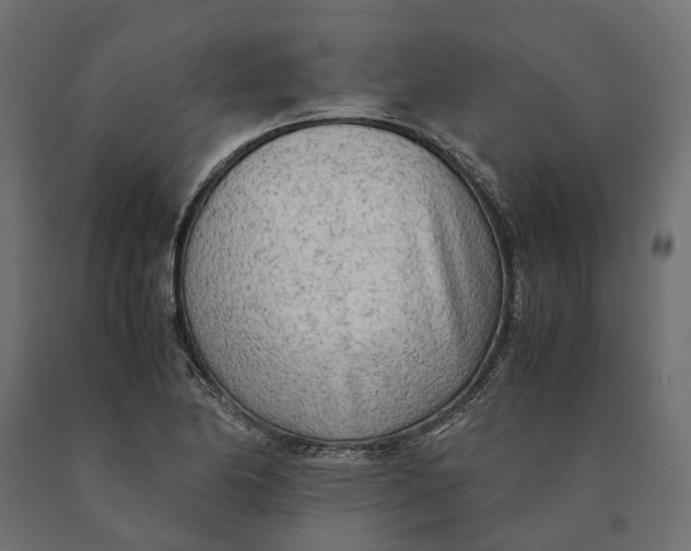 X0000090431174200708031122