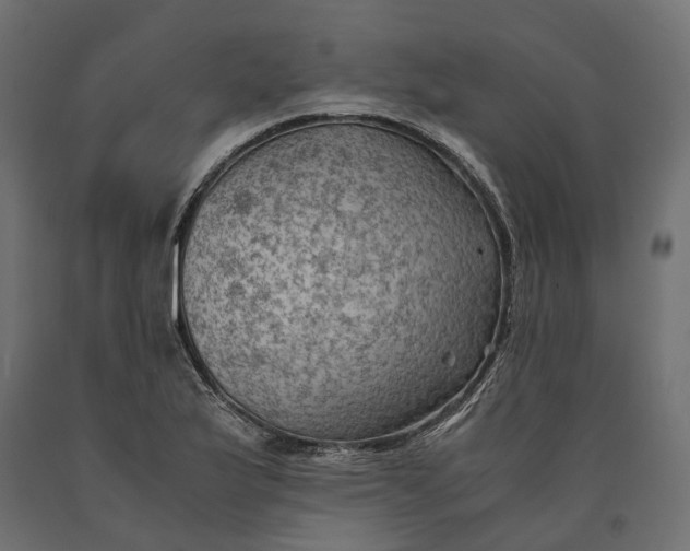 X0000090431175200708031122