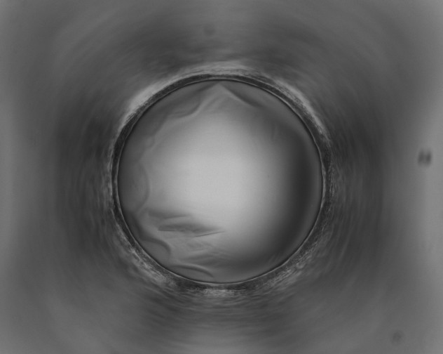 X0000090431176200708031122