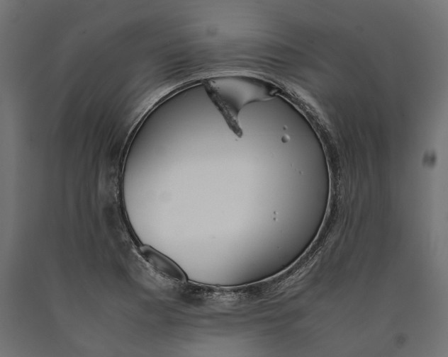 X0000090431177200708031122