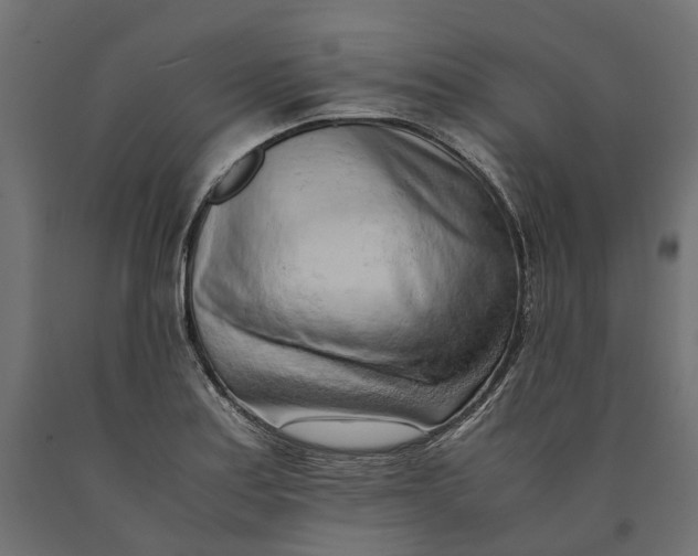 X0000090431179200708031122