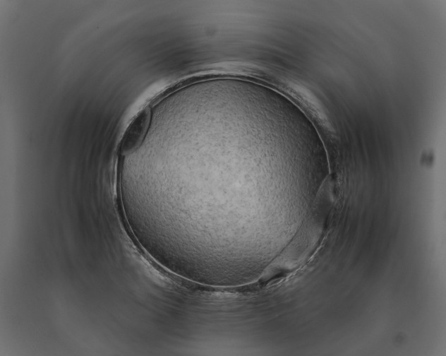 X0000090431180200708031122