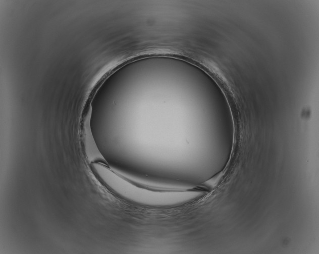 X0000090431181200708031122