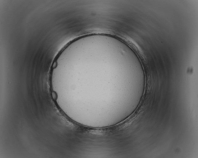 X0000090431182200708031122